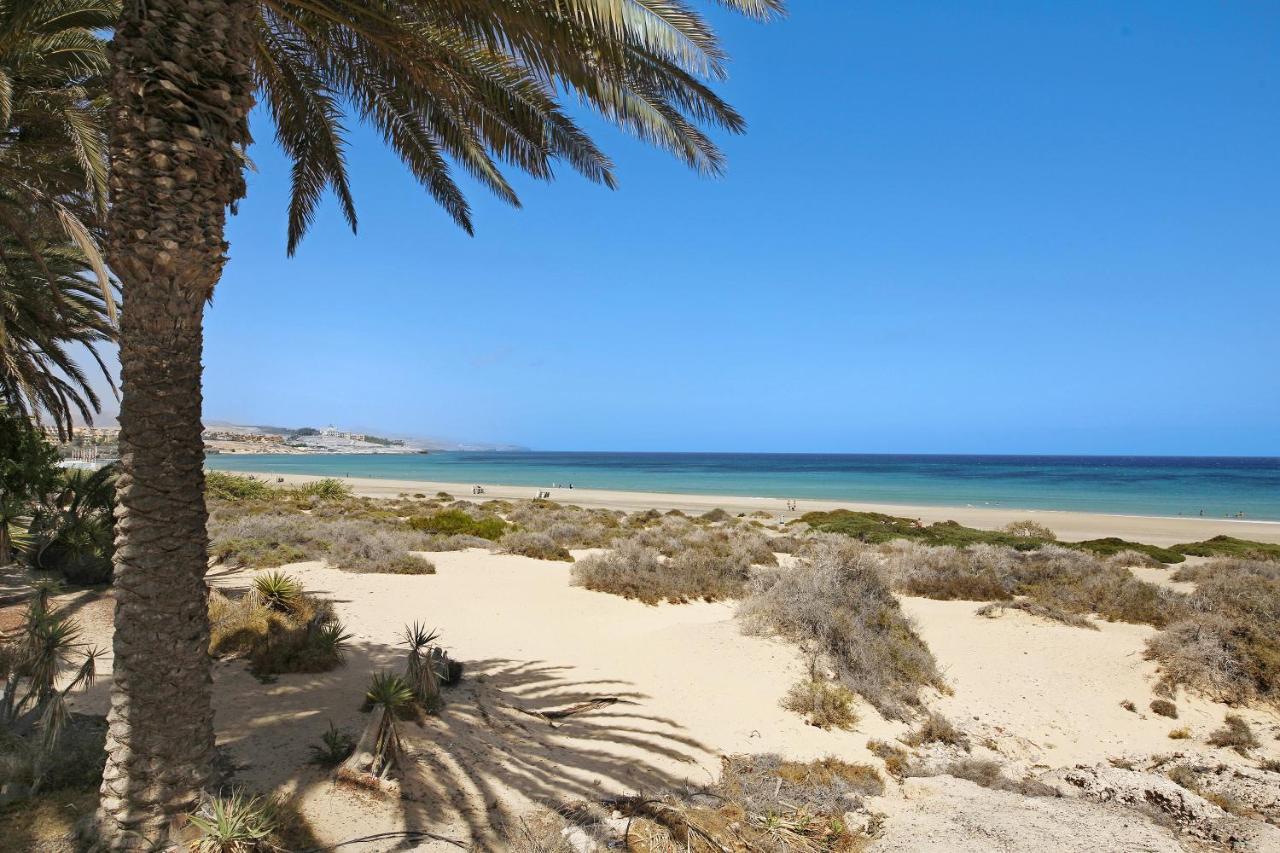 דירות קוסטה קלמה Bahia Vista מראה חיצוני תמונה
